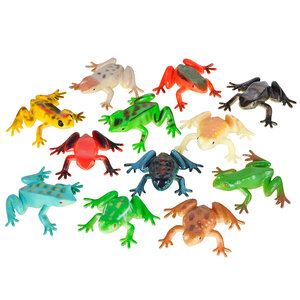 Poison Dart Frog 2In Asmt