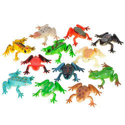 Poison Dart Frog 2In Asmt