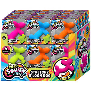 Stretchy Bloon Dog Asmt