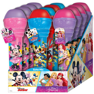 Disney Echo Mic Asmt