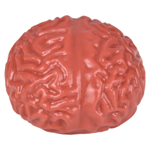Brain Splat Ball