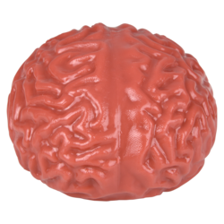 Brain Splat Ball