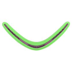 Zooma Boomerang Asmt