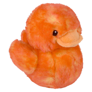 Ombré Ducks 6In Asmt