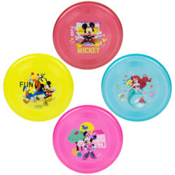 Disney Flyer Asmt